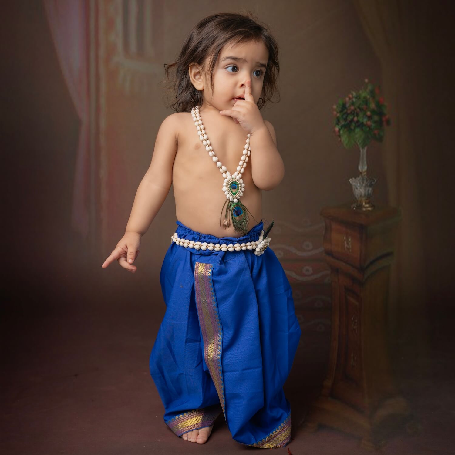 Kanha KJC004