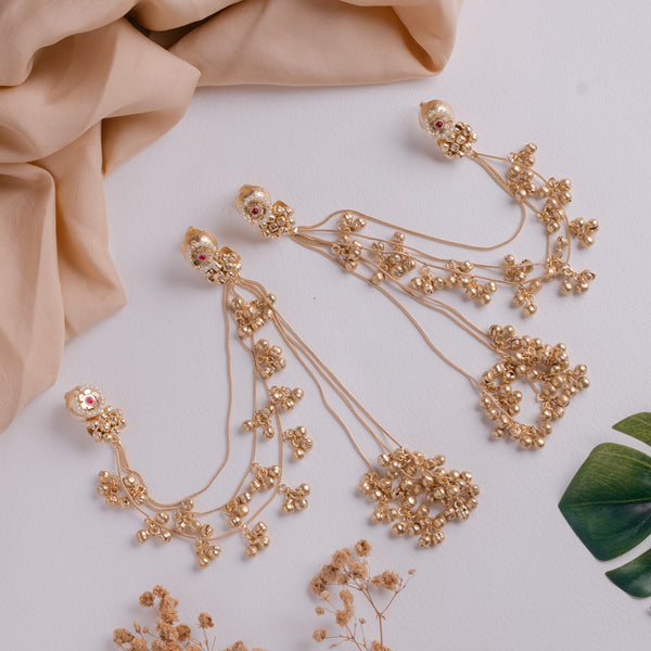 Earrings